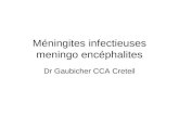 Méningites infectieuses meningo encéphalites Dr Gaubicher CCA Creteil.