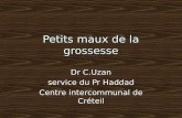 Petits maux de la grossesse Dr C.Uzan service du Pr Haddad Centre intercommunal de Créteil.