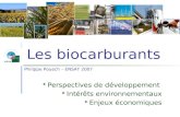 Les biocarburants Perspectives de développement Intérêts environnementaux Enjeux économiques Philippe Pouech – ENSAT 2007.