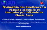 Dosimétrie des émetteurs à léchelle cellulaire et tissulaire par méthode de Monte Carlo J. Coulot 1, M. Ricard 1, A. Faggiano 2, N. Bellon 3 F. Lavielle.