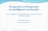 Ph. DumasTic et territoire Lyon 14 juin 20081 Perspective et Prospective en Intelligence territoriale Une intelligence territoriale pour un projet d Union.