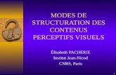 1 MODES DE STRUCTURATION DES CONTENUS PERCEPTIFS VISUELS Élisabeth PACHERIE Institut Jean-Nicod CNRS, Paris.