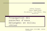 Propagation des panaches deaux mélangées en milieu côtier Audrey Pasquet Thèse SHOM/LEGOS Encadrants: Yves Morel, Rémy Baraille Epigram, Brest, 16/11/2009.