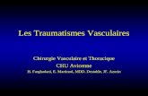 Les Traumatismes Vasculaires Chirurgie Vasculaire et Thoracique CHU Avicenne H. Farghadani, E. Martinod, MDD. Destable, JF. Azorin.