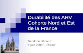 Durabilité des ARV Cohorte Nord et Est de la France Sandrine Hénard 9 juin 2009 – LEpine.