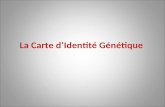 La Carte dIdentité Génétique. Les Principes complexes mais simples du vivant.