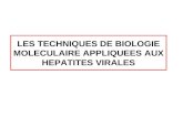 LES TECHNIQUES DE BIOLOGIE MOLECULAIRE APPLIQUEES AUX HEPATITES VIRALES