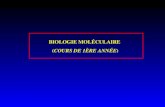 BIOLOGIE MOLÉCULAIRE (COURS DE 1ÈRE ANNÉE). PLAN DU COURS INTRODUCTION GÉNÉRALE - Définition : biologie moléculaire STRUCTURE ET PROPRIÉTÉS GÉNÉRALES.