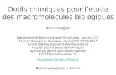 Outils chimiques pour létude des macromolécules biologiques Marius Réglier Marius.reglier@univ.u-3mrs.fr Laboratoire de Bioinorganique Structurale, service.