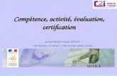 SDTICE Compétence, activité, évaluation, certification Gérard-Michel Cochard, SDTICE Chef de projet C2i niveau 1, Chef de projet adjoint C2i2mi