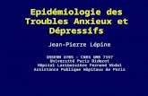 Epidémiologie des Troubles Anxieux et Dépressifs Jean-Pierre Lépine INSERM U705 - CNRS UMR 7157 Université Paris Diderot Hôpital Lariboisière Fernand Widal.