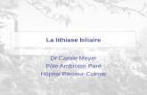 La lithiase biliaire Dr Carole Meyer Pôle Ambroise Paré Hôpital Pasteur-Colmar.