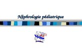 Néphrologie pédiatrique. Uropathies malformatives Août 2004