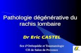 Pathologie dégénérative du rachis lombaire Dr Eric CASTEL Sce dOrthopédie et Traumatologie CH de Salon de Provence.