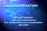LA CICATRISATION JACQUET MYRIAM I.D.E stomathérapeute D.U plaies brûlures et cicatrisation Marseille.