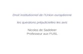 Droit institutionnel de lUnion européenne les questions préjudicielles-les avis Nicolas de Sadeleer Professeur aux FUSL.