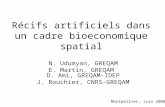 N. Udumyan, GREQAM E. Martin, GREQAM D. Ami, GREQAM-IDEP J. Rouchier, CNRS-GREQAM Récifs artificiels dans un cadre bioeconomique spatial Montpellier, Juin.