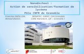 Nano@school : Action de sensibilisation/formation de lycéens Pôle CNFM de Grenoble Francine PAPILLON, MINATEC, GIANT, CEA Grenoble Ahmad BSIESY, CIME Nanotech,