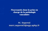 M. Sapoval marc.sapoval2@egp.aphp.fr Nouveautés dans la prise en charge de la pathologie vasculaire.