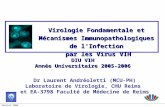 Version 2006 Dr Laurent Andréoletti (MCU-PH) Laboratoire de Virologie, CHU Reims et EA-3798 Faculté de Médecine de Reims DIU VIH Année Universitaire 2005-2006.
