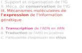 I. Support et organisation de l'IG II. Méca. de conservation de l'IG III. Mécanismes moléculaires de l'expression de l'Information génétique A. Transcription.