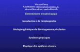 Partie I Introduction à la morphogenèse Partie II Biologie-génétique du développement; évolution Partie III Systèmes physiques Partie IV Physique des systèmes.