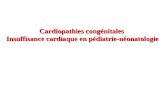 Cardiopathies congénitales Insuffisance cardiaque en pédiatrie-néonatologie.