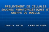 PRELEVEMENT DE CELLULES SOUCHES HEMATOPOIETIQUES ET GREFFE DE MOELLE Isabelle PIETRI CADRE DE SANTE.