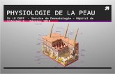 PHYSIOLOGIE DE LA PEAU Dr LE DUFF - Service de Dermatologie â€“ H´pital de lArchet 2 F©vrier 2010