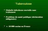 Tuberculose Maladie infectieuse mortelle sans traitement Problème de santé publique (déclaration obligatoire) 10 000 cas/an en France.