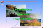 Service Départemental dIncendie et de Secours des Alpes de Haute Provence Techniques détablissements et dextinction Les différents Types de Feux de forêts.