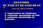 Cours IFSI 2003 ANATOMIE DU FOIE ET DU PANCREAS Professeur Gilbert VERSIER 1- organisation de labdomen 2- anatomie- physiologie du foie 3- anatomie- physiologie.