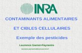 CONTAMINANTS ALIMENTAIRES ET CIBLES CELLULAIRES Exemple des pesticides Laurence Gamet-Payrastre laurence.payrastre@toulouse.inra.fr laurence.payrastre@toulouse.inra.fr.