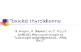 Toxicité thyroïdienne N. Hagen, V. Gayrard et C. Viguié UMR181 Physiopathologie et Toxicologie expérimentales, INRA, ENVT.