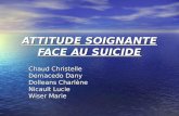 ATTITUDE SOIGNANTE FACE AU SUICIDE Chaud Christelle Demacedo Dany Dolleans Charlène Nicault Lucie Wiser Marie.