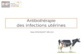 1 Antibiothérapie des infections utérines Alain BOUSQUET-MELOU.