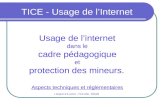 TICE - Usage de lInternet Usage de linternet dans le cadre pédagogique et protection des mineurs. Aspects techniques et réglementaires L.Desport & B.Leclerc.