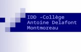 IDD -Collège Antoine Delafont Montmoreau. Constat Aucun tri nest fait dans le collège Et pourtant, il y a beaucoup de papier jeté chaque jour !