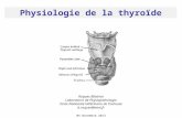 Physiologie de la thyroïde Roques Béatrice Laboratoire de Physiopathologie Ecole Nationale Vétérinaire de Toulouse b.roques@envt.fr 04 Novembre 2013.
