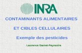 CONTAMINANTS ALIMENTAIRES ET CIBLES CELLULAIRES Exemple des pesticides Laurence Gamet-Payrastre.
