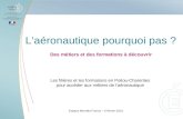 Laéronautique pourquoi pas ? Des métiers et des formations à découvrir Les filières et les formations en Poitou-Charentes pour accéder aux métiers de laéronautique.