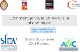 Comment je traite un AVC à la phase aigue Gaëlle Godenèche CHU Poitiers Espace Mendes France Poitiers, 16 Février 2011.