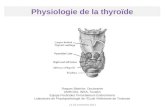 Physiologie de la thyroïde Roques Béatrice, Doctorante UMR1331, INRA, Toxalim Equipe Pesticides Perturbateurs Endocriniens Laboratoire de Physiopathologie.