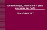 Epidémiologie, Prévention et prise en charge des AES Elisabeth BOUVET.