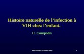 DIU Fournier 31 octobre 20051 Histoire naturelle de linfection à VIH chez lenfant. C. Courpotin.