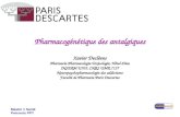 Master 1 Santé Parcours PPT Pharmacogénétique des antalgiques Xavier Declèves Pharmacie-Pharmacologie-Toxicologie, Hôtel-Dieu INSERM U705, CNRS UMR 7157.