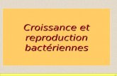 1 Croissance et reproduction bactériennes. Définitions Croissance = accroissement ordonné de tous les composants dun organisme Reproduction = fabrication.