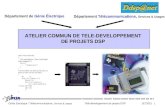 Génie Electrique / Télécommunications, Services & Usages Télé-développement de projets DSP JET2001 1 ATELIER COMMUN DE TELE-DEVELOPPEMENT DE PROJETS DSP.