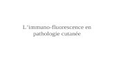 Limmuno-fluorescence en pathologie cutanée. Rappels sur jonction dermo-épidermique.