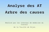 Analyse des AT Arbre des causes Réalisé par les internes de médecine du travail de la faculté de Dijon.